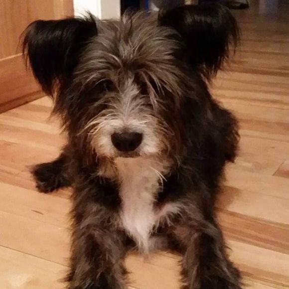 Meet your Posher, Gabby - Picture 1 of 1